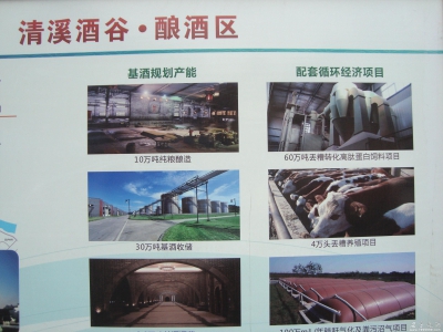 安寧燒酒走出去學(xué)習(xí)交流